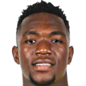 Y.福法纳