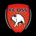 奥斯后备队